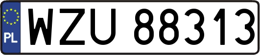 WZU88313