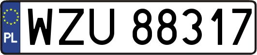 WZU88317