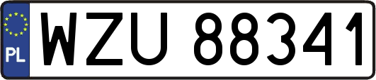 WZU88341