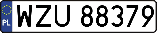 WZU88379