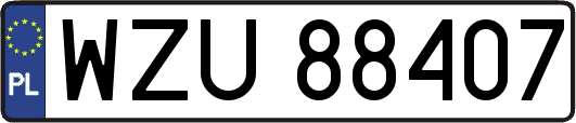 WZU88407