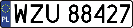 WZU88427