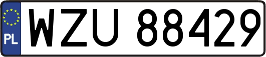 WZU88429