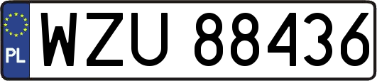 WZU88436