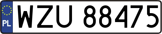 WZU88475