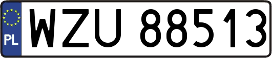 WZU88513