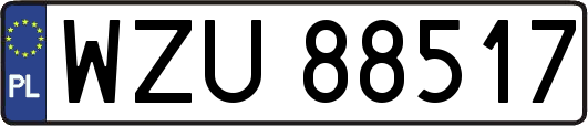 WZU88517