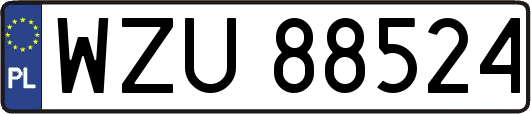 WZU88524