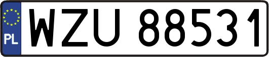 WZU88531