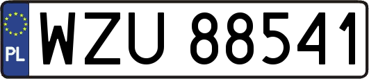 WZU88541