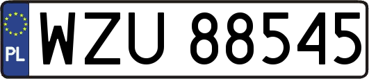 WZU88545