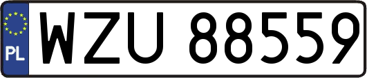 WZU88559