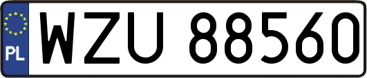WZU88560