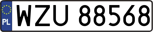 WZU88568