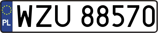 WZU88570