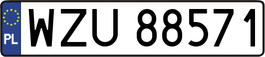 WZU88571