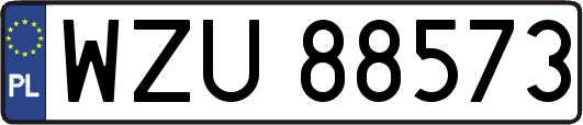 WZU88573