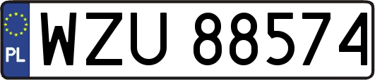 WZU88574