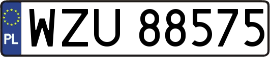 WZU88575