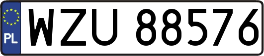 WZU88576
