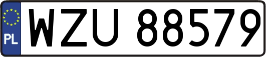 WZU88579