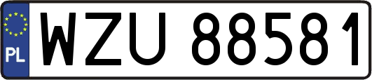 WZU88581
