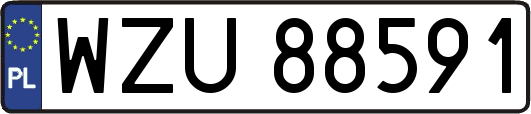 WZU88591