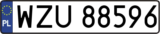 WZU88596