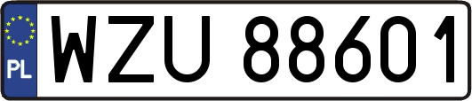 WZU88601