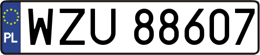 WZU88607