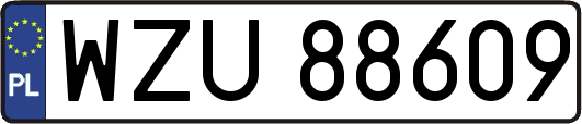 WZU88609