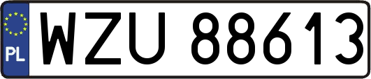 WZU88613