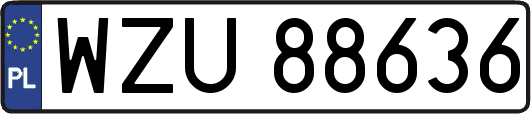 WZU88636