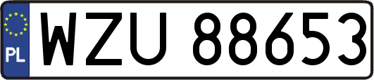 WZU88653