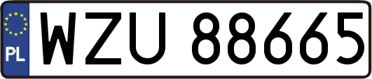 WZU88665