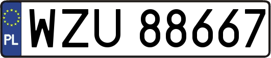 WZU88667
