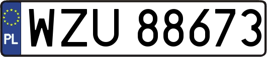 WZU88673