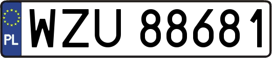 WZU88681