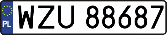 WZU88687