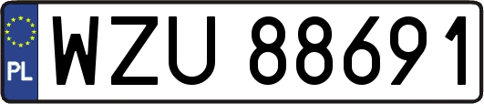 WZU88691