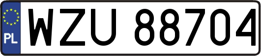 WZU88704