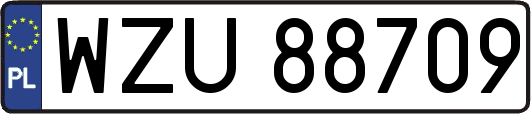 WZU88709