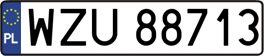 WZU88713