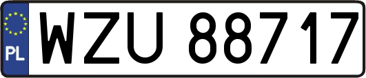 WZU88717