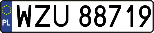 WZU88719