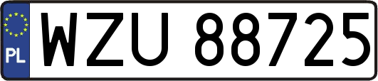 WZU88725