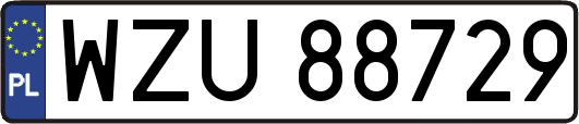 WZU88729