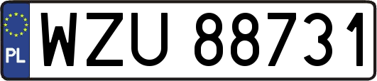 WZU88731