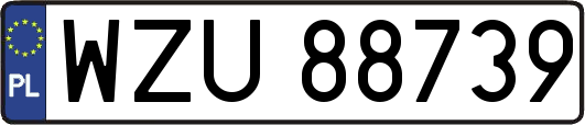 WZU88739