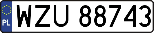 WZU88743